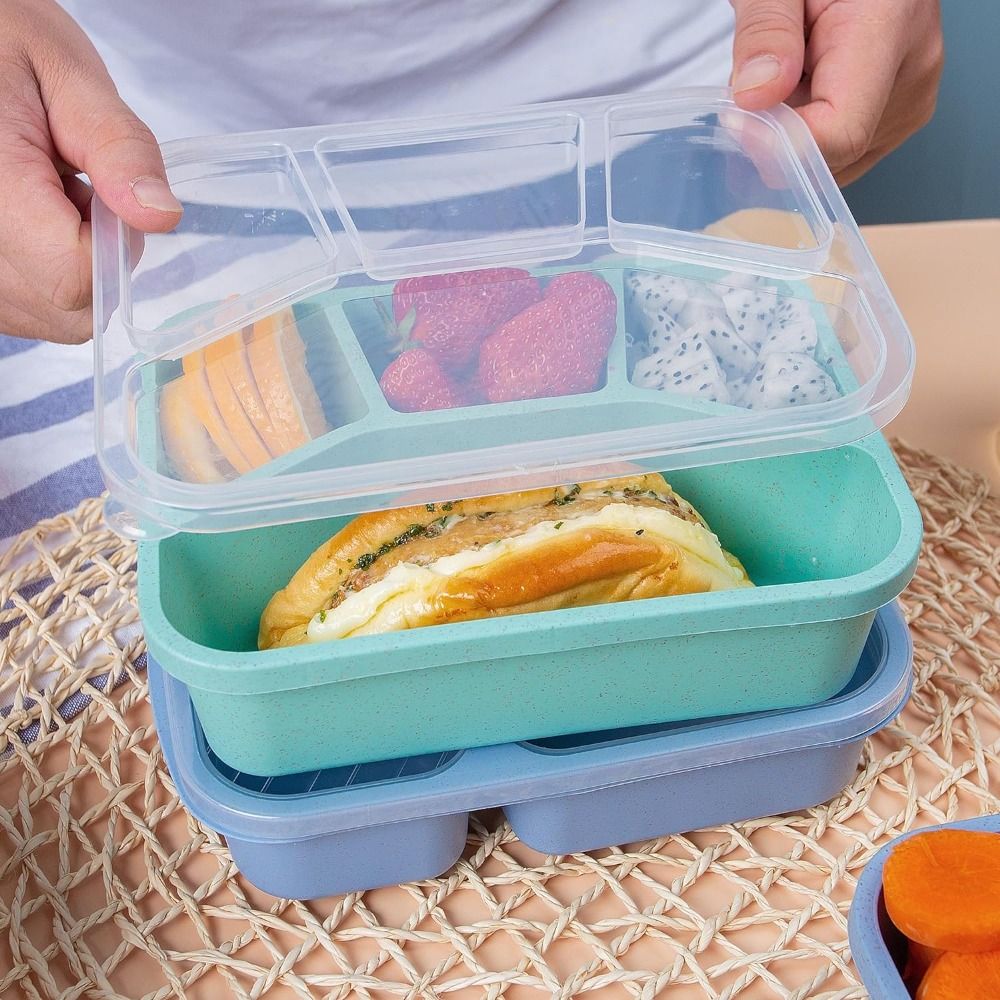 Kids Bento Box com tampas reut - Meal Prep Kinder avaliação e preço
